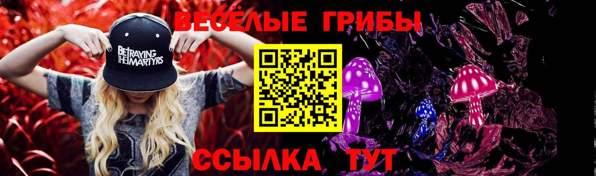 Галлюциногенные грибы MAGIC MUSHROOMS  Вход с VPN  Можга 